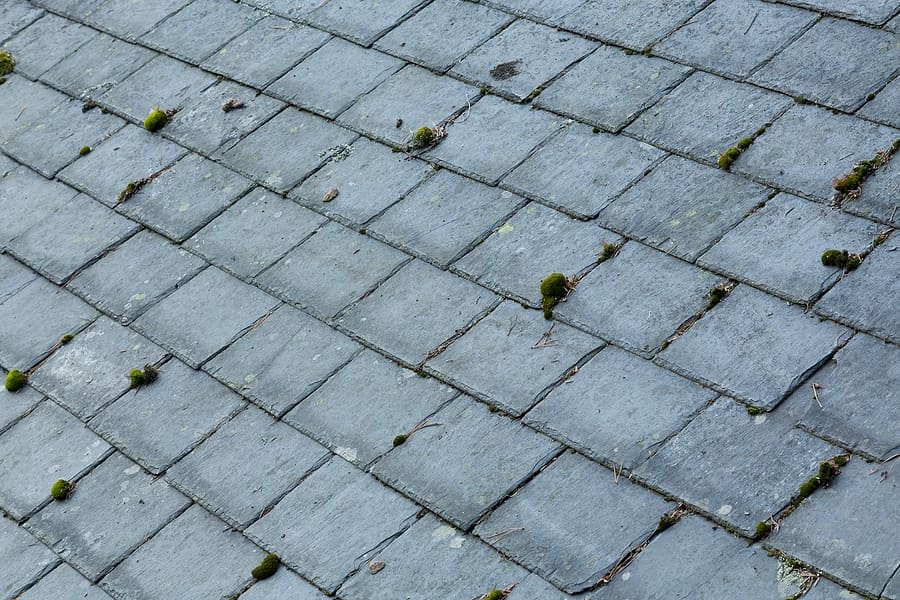 A roof with visible moss growth on the surface of the shingles, illustrating the risks of moisture buildup and potential damage to the roofing materials over time.